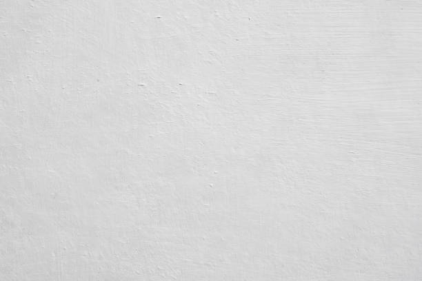 Best Environmental Consulting for Mold Prevention  in Lamar, SC