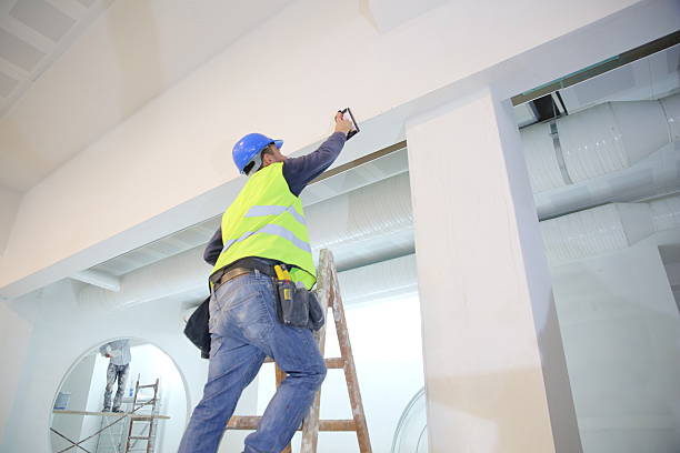 Best Mold Odor Removal Services  in Lamar, SC