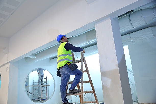 Forensic Mold Investigation in Lamar, SC